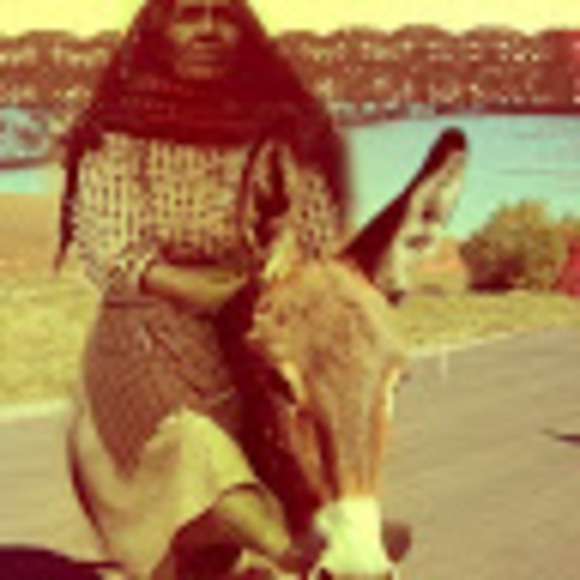 donkeybunny